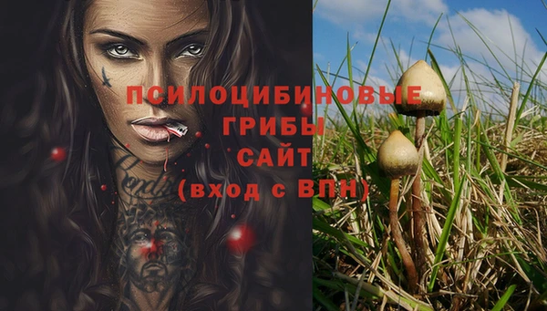 тгк Новочеркасск