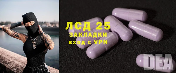 эйфоретик Богданович