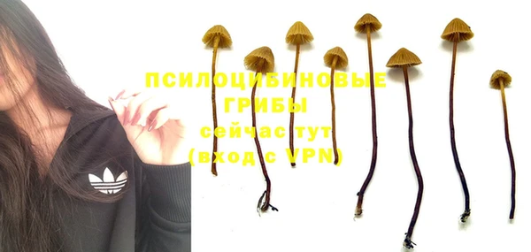 эйфоретик Богданович