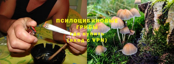 эйфоретик Богданович