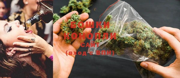 эйфоретик Богданович