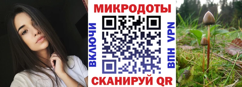 Псилоцибиновые грибы мицелий  сайты даркнета как зайти  Вольск  сколько стоит 
